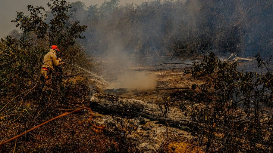 Foto: Divulgação- Fogo destrói parte do Pantanal