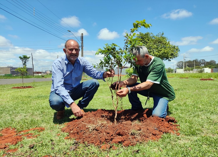 Foto: Divulgação PMA - O prefeito José Fernandes ajudou no plantio, acompanhado do colaborador Pedrinho.