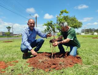 Prefeitura de Assis realiza plantio de 55 árvores frutíferas no Parque Universitário