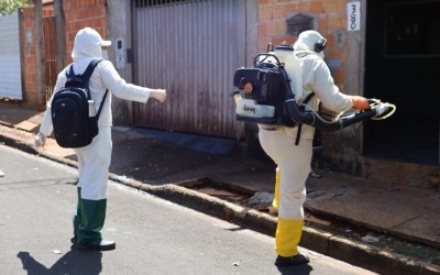 Dengue mata gestante de 28 anos em Marília